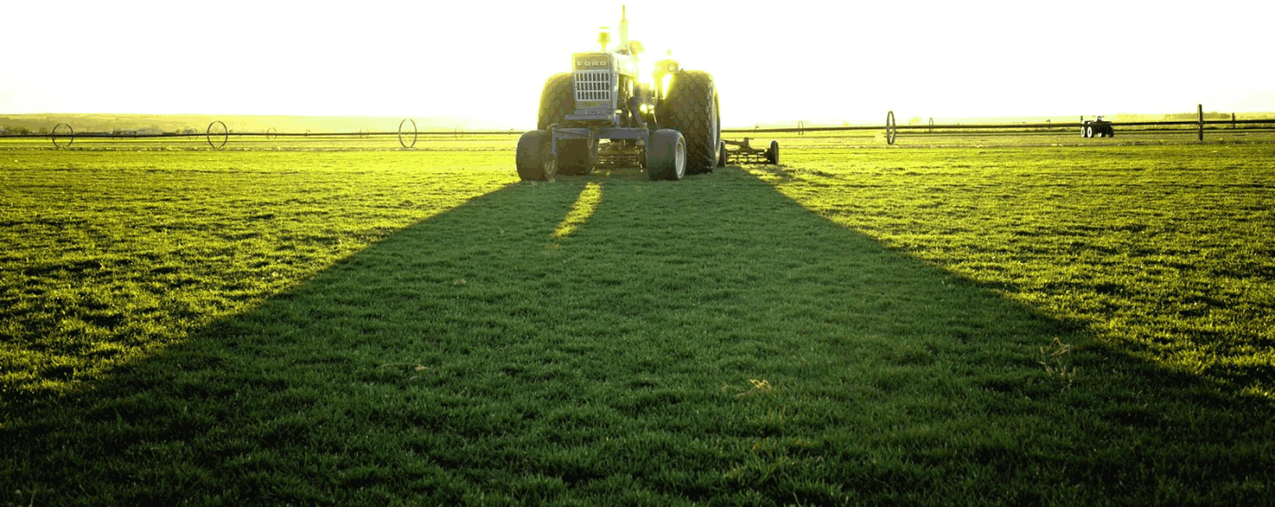 Keystone Sod - Nebraska